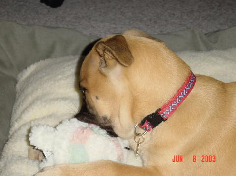 Image040