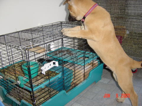 Image001