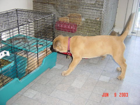 Image002
