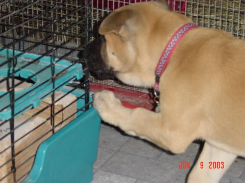 Image003