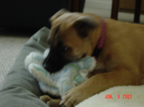 Image004