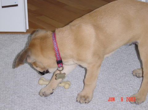 Image007