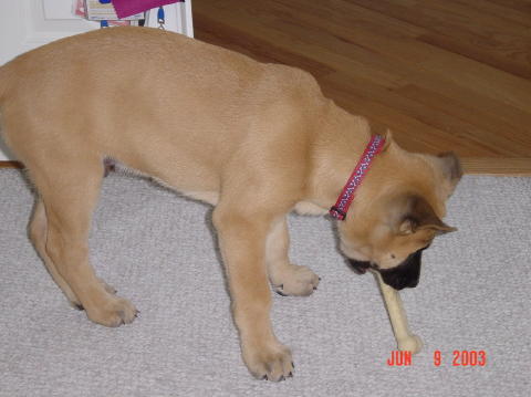Image008