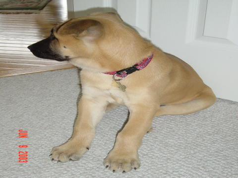 Image009