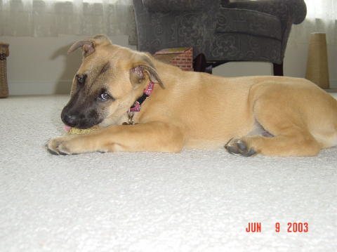 Image011