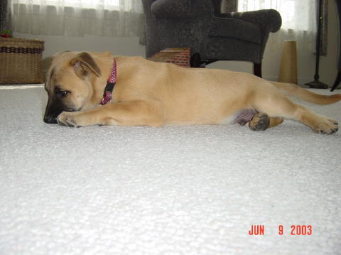 Image013