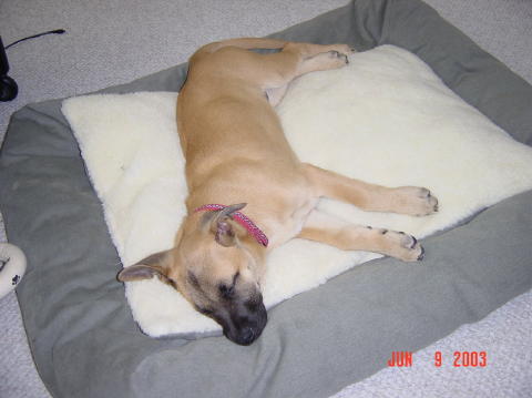 Image014