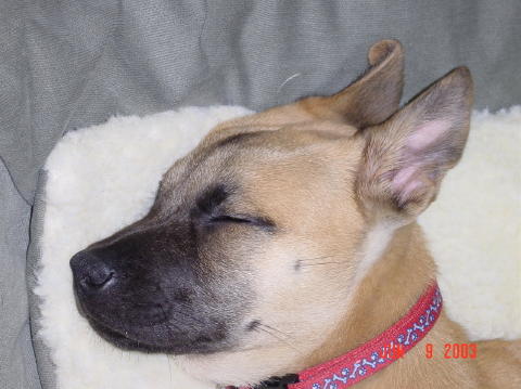 Image016