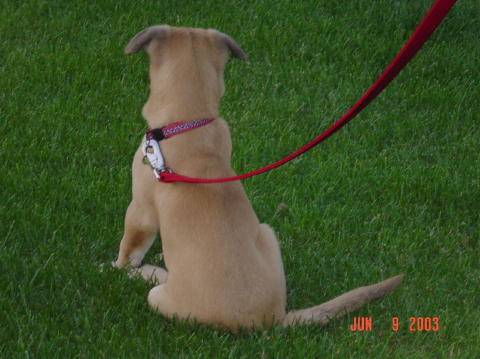 Image003