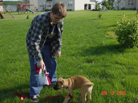 Image006