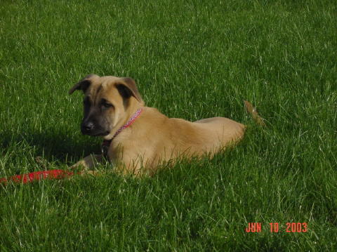 Image009