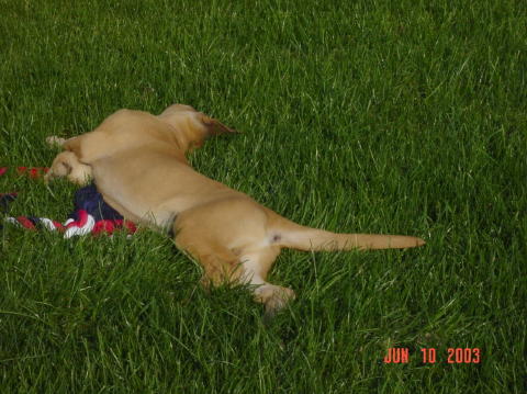 Image013