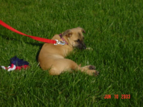Image014