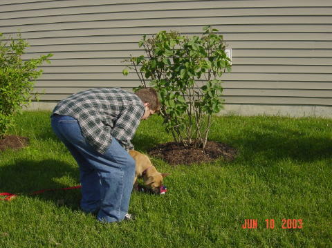 Image016