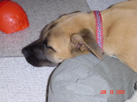 Image001