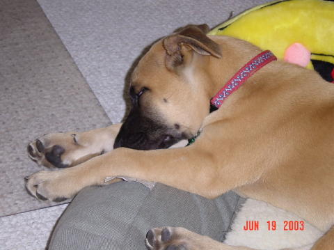 Image002