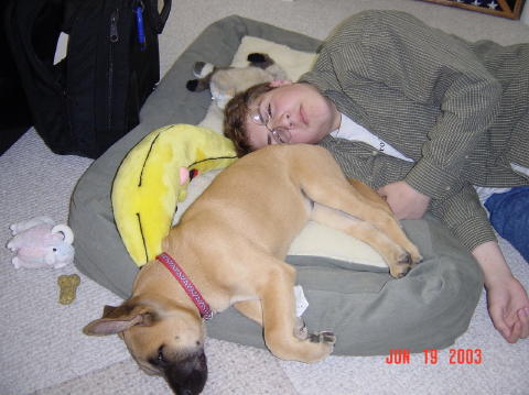 Image003