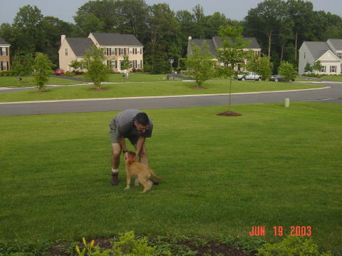 Image005