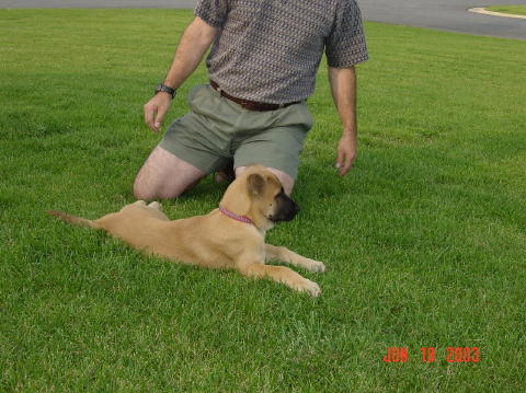 Image008