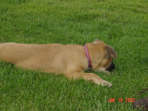 Image009