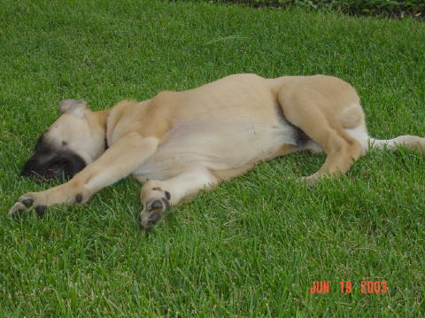 Image018