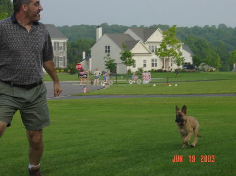 Image020