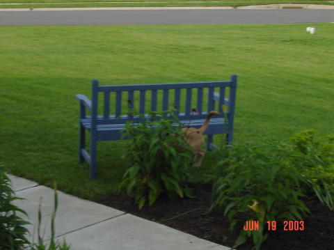 Image021