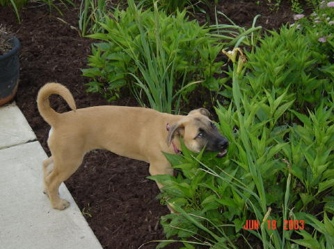 Image022