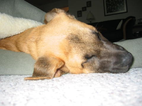 june2003_b