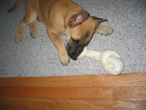 june20_2003b