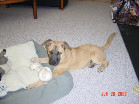 Image005