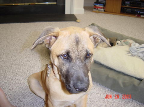 Image003