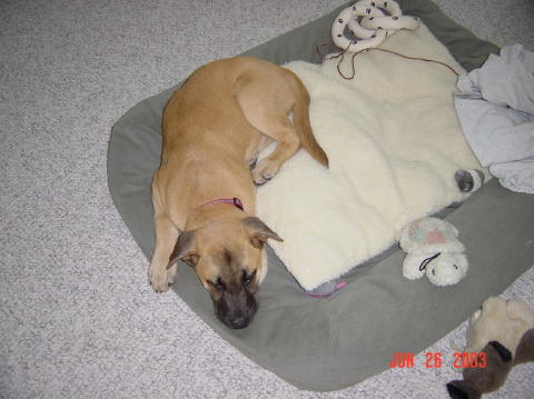 Image002