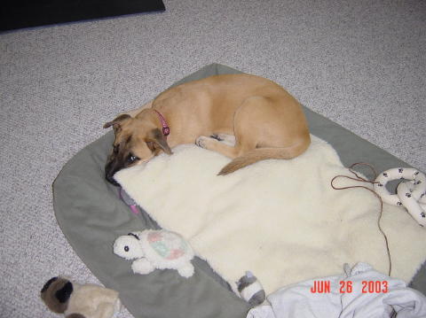 Image001