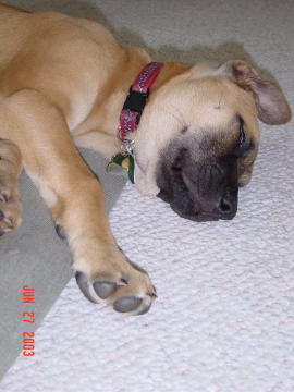 Image001