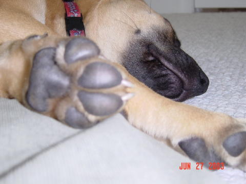 Image002