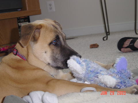 Image017