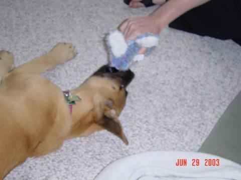 Image018