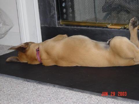 Image029