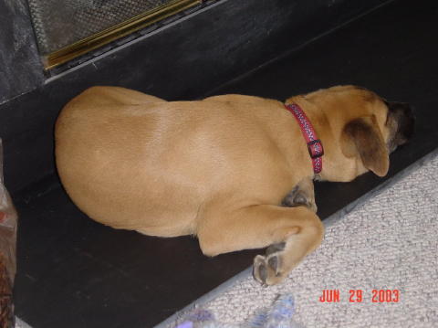 Image044