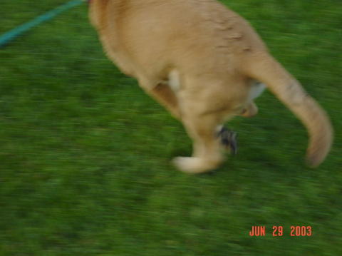 Image001