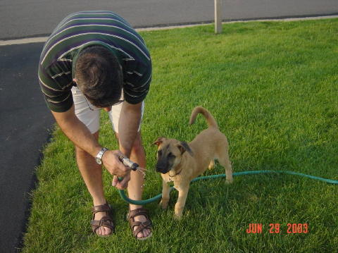 Image003