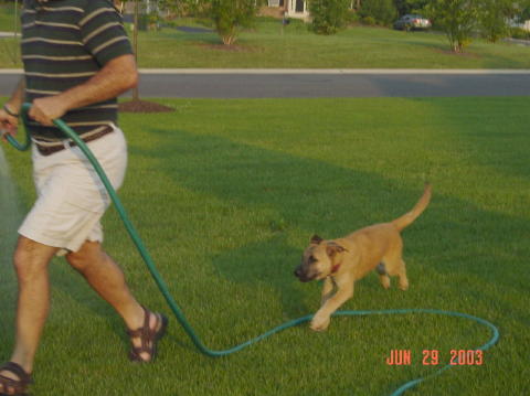 Image005