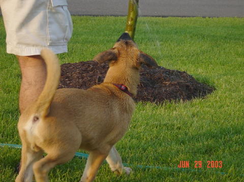 Image007