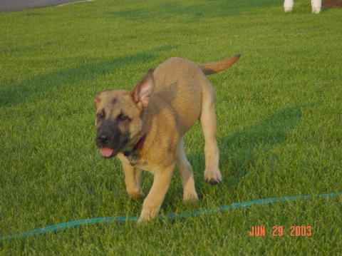 Image008