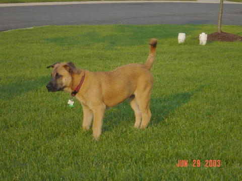Image009