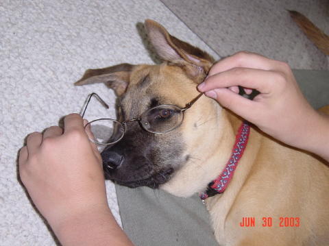 Image010