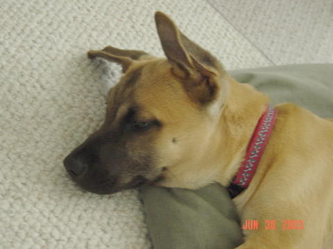 Image011