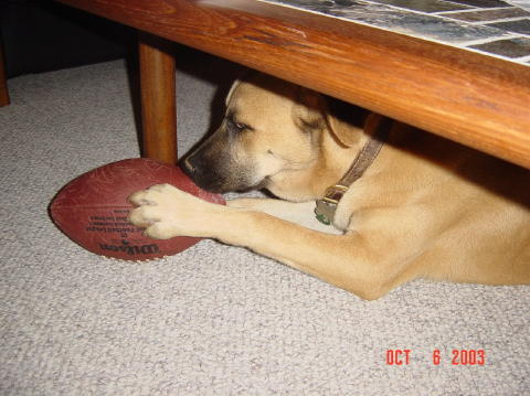 Image001