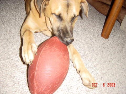 Image002